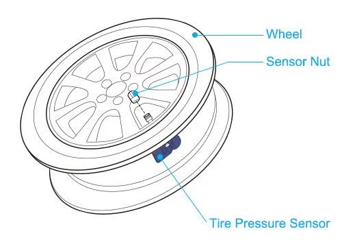 Resetting the TPMS Light: Brand-Specific How-To Resetting the TPMS Light: Brand-Specific How-To