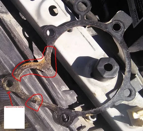 How to Know If You Have a Water Pump Leak How to Know If You Have a Water Pump Leak