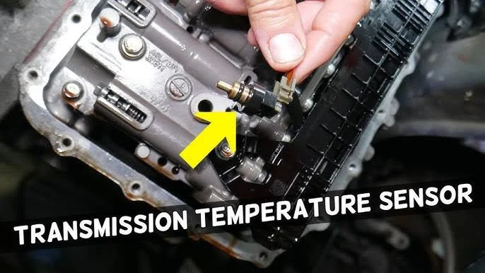 Sensing the Power: Temperature Sensors Sensing the Power: Temperature Sensors