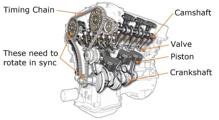 Maintaining Your Timing Chain Maintaining Your Timing Chain