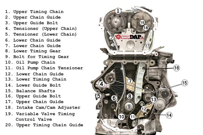 The Purpose of Timing Chains The Purpose of Timing Chains