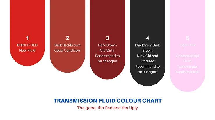 Transmission Problems: Contaminated Fluid Transmission Problems: Contaminated Fluid