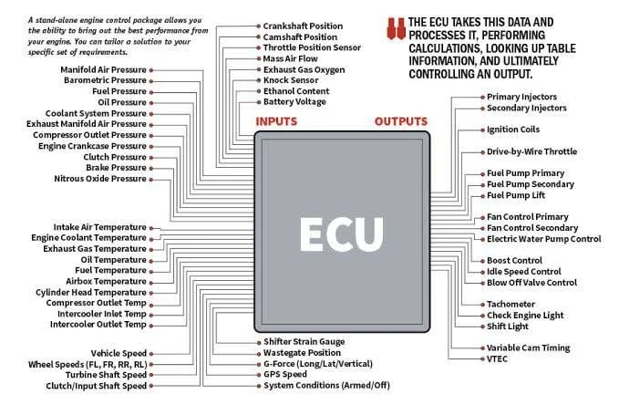 Decoding the Engine Control Unit (ECU): Inputs, Outputs, and Sensor Interactions