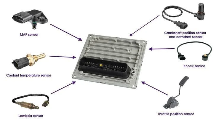 Decoding the Engine Control Unit (ECU): Inputs, Outputs, and Sensor Interactions