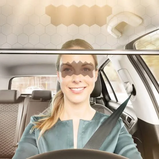 The Hidden Mirror In Your Sun Visor Actually Has A Surprising Backstory