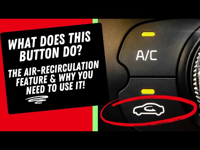 Drivers Are Left Stunned After Discovering The Real Purpose Of That Tiny Car Button