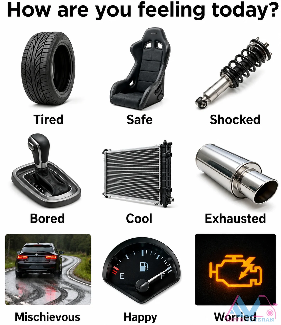 Driver Mood Meter Interface