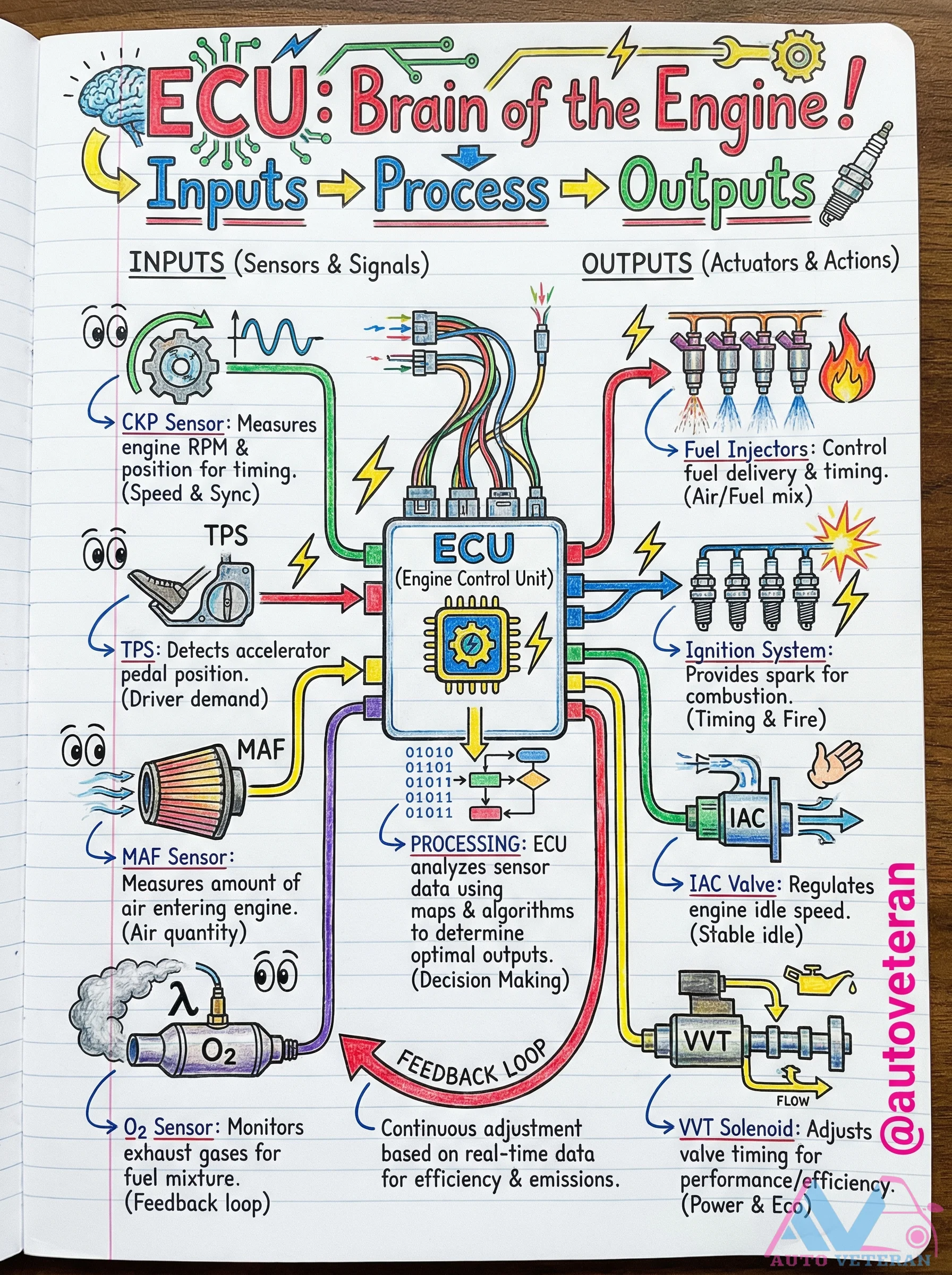 ECU Inputs and Outputs Diagram