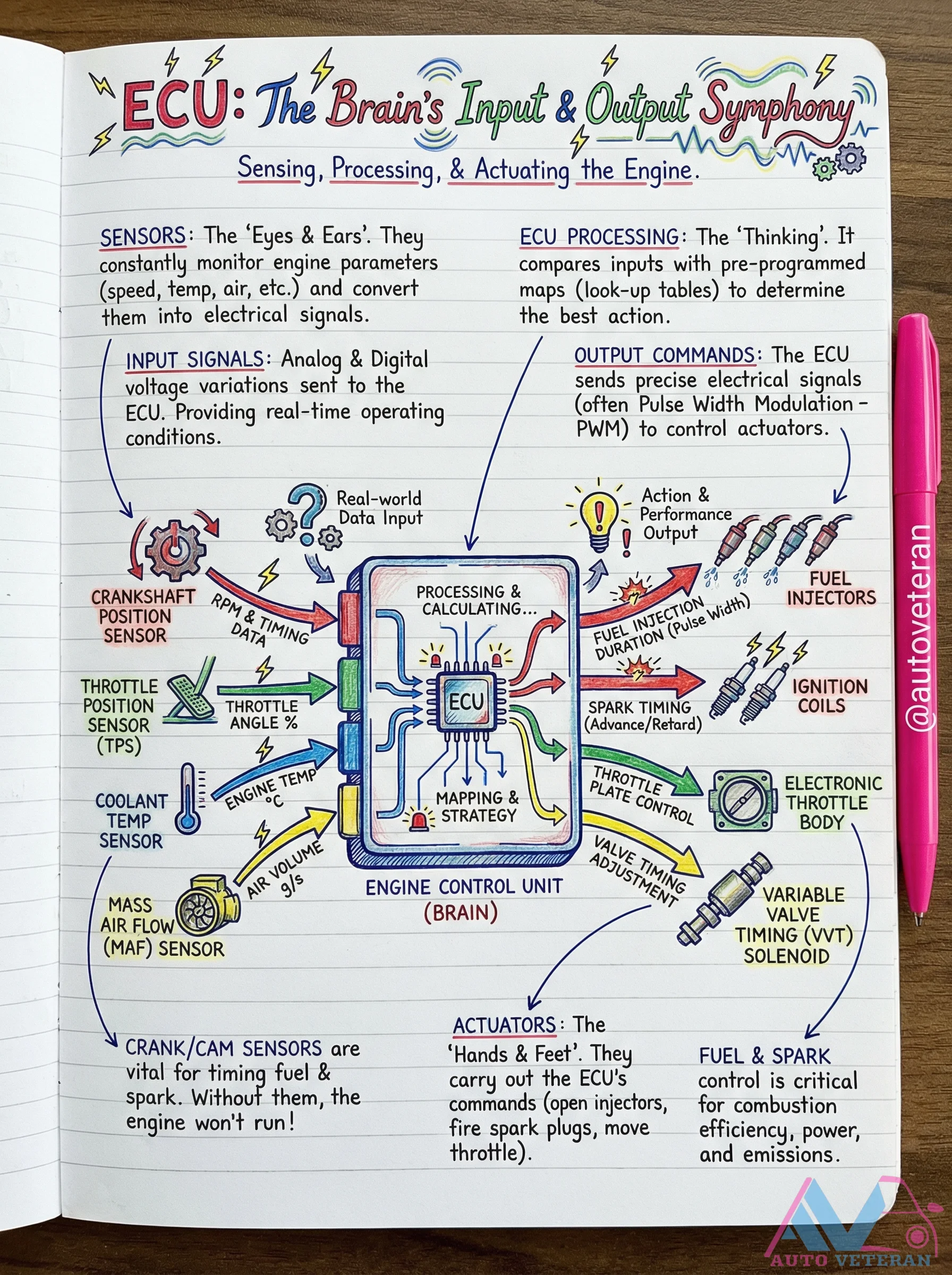 ECU Input Sensors and Output Actuator Diagram