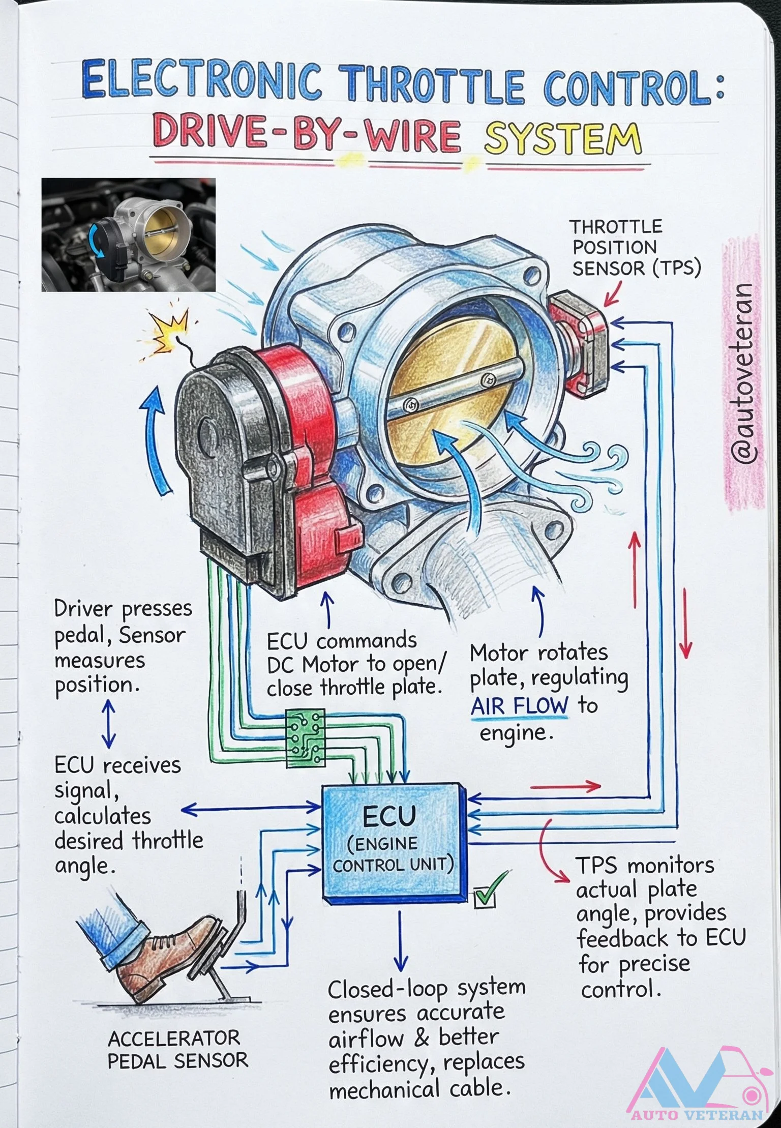 Electronic Throttle Control Drive-by-Wire System Operation