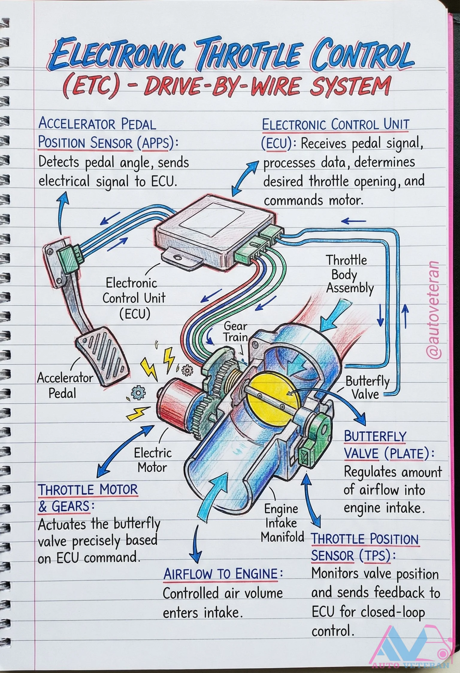 Electronic Throttle Control Drive-By-Wire System Components