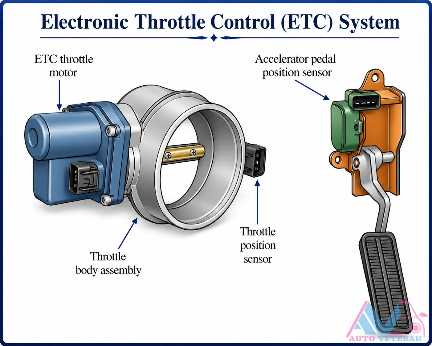 ETC System Components Overview