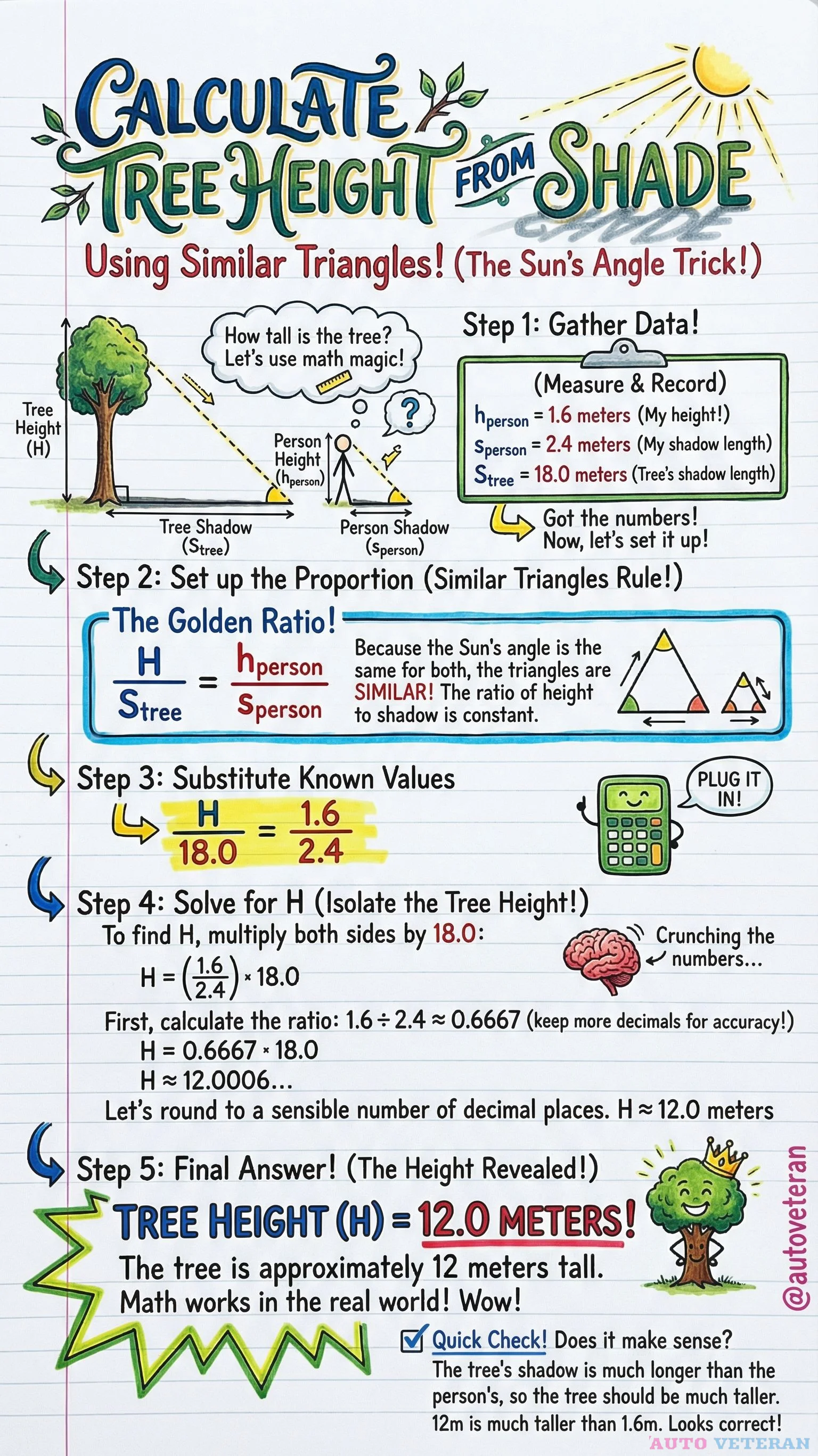 Tree Height Calculation Using Similar Triangles