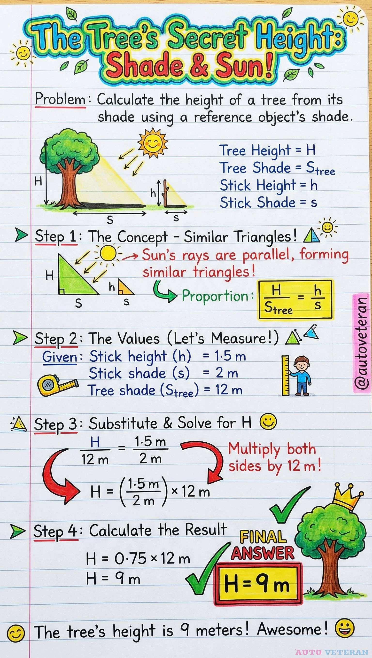Tree Height Calculation Using Shadow Proportions