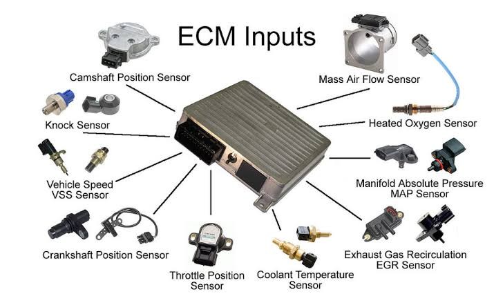 Decoding the Engine Control Unit (ECU): Inputs, Outputs, and Sensor Interactions
