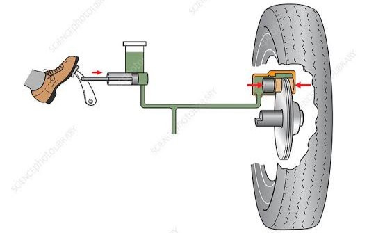 Do All Four Brakes in a Car Engage When Braking?